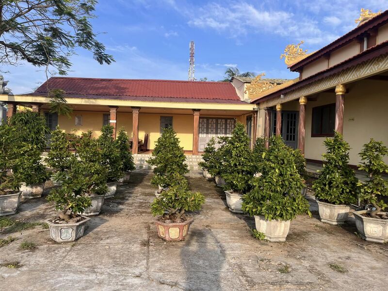 Top 16 ngôi chùa ở Đà Nẵng đẹp và nổi tiếng linh thiêng