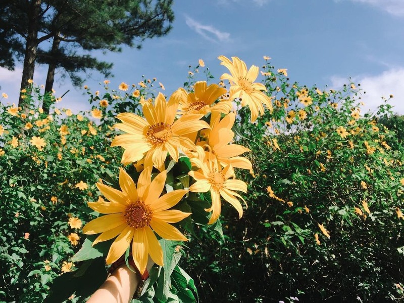 Kinh nghiệm phượt Đà Lạt bằng xe máy tiết kiệm và an toàn 