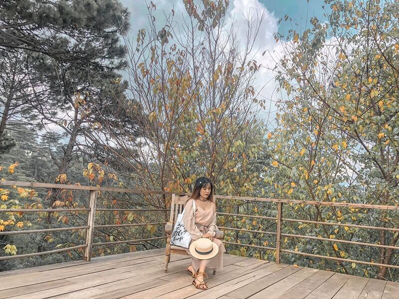 Review Rừng Lá Phong Đà Lạt - Khám phá vẻ đẹp Nhật Bản độc đáo