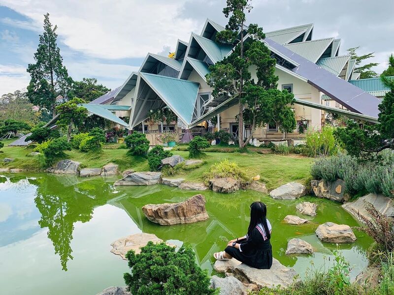 Review Rừng Lá Phong Đà Lạt - Khám phá vẻ đẹp Nhật Bản độc đáo