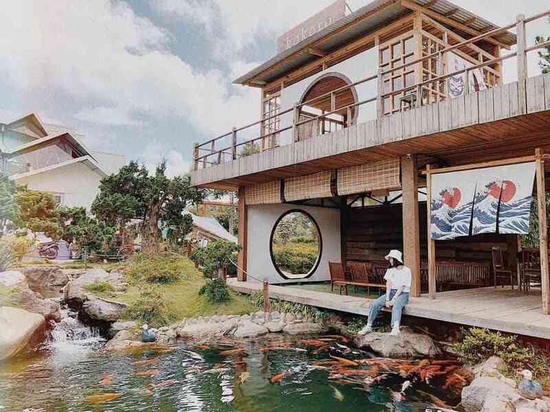Khu du lịch Rừng Lá Phong - Khám phá vẻ đẹp Nhật Bản độc đáo