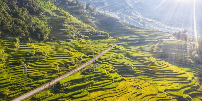 Ngắm nhìn khung cảnh đẹp như tranh của ruộng bậc thang Sapa