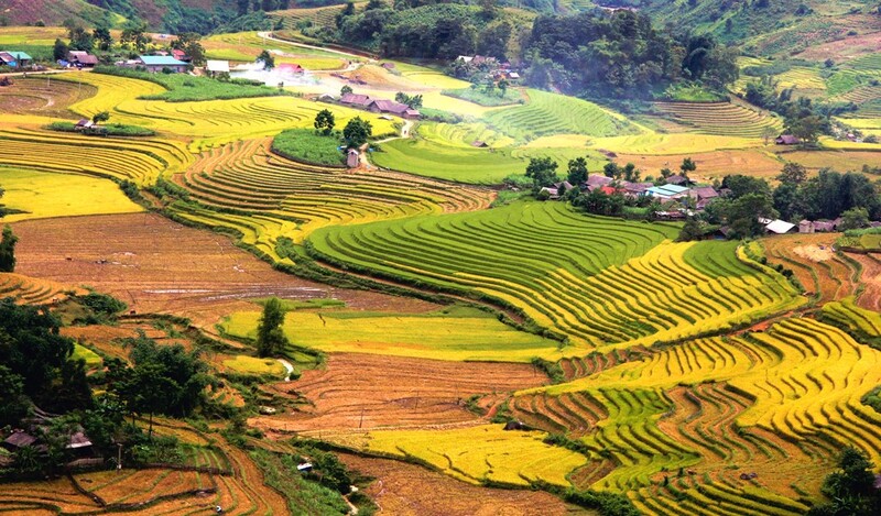 Ngắm nhìn khung cảnh đẹp như tranh của ruộng bậc thang Sapa