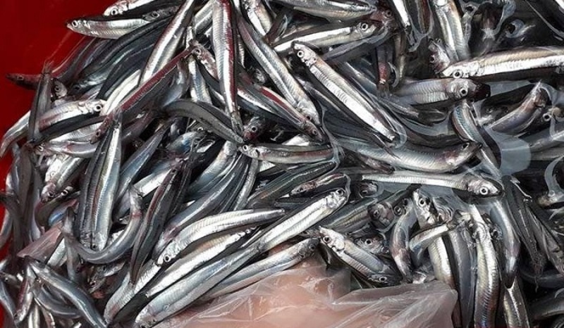 Làng nghề nước mắm Nam Ô - Nét đẹp làng nghề Đà Nẵng