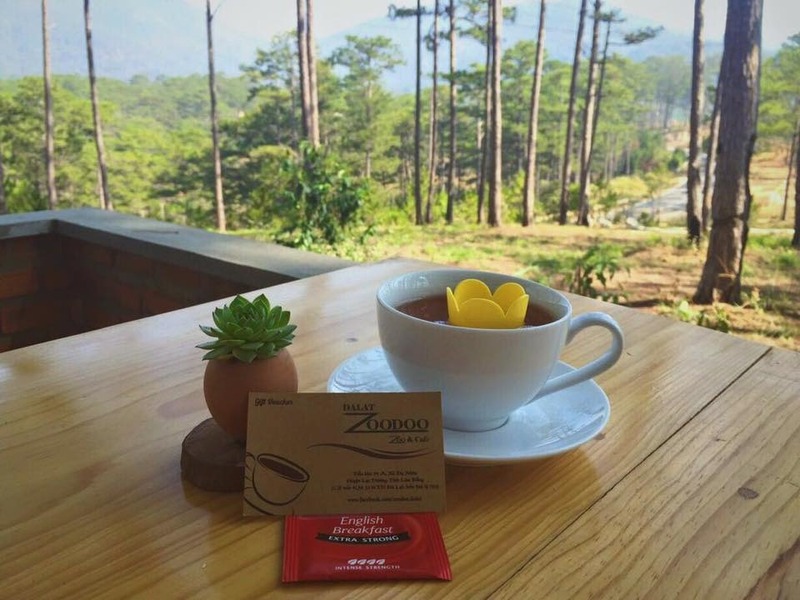 Review vườn thú Zoodoo - khu tham quan cực hấp dẫn ở Đà Lạt