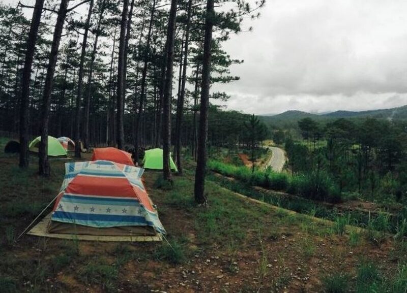 Review sở thú Zoodoo - khu tham quan cực hấp dẫn ở Đà Lạt