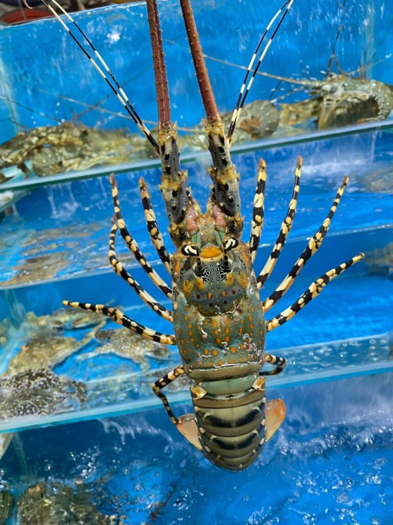 Nhà hàng Mai Trinh quán Lagi - Địa chỉ ăn uống được yêu thích nhất