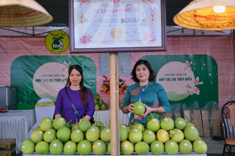 Thanh trà Huế - đặc sản trứ danh nổi tiếng miền cố đô