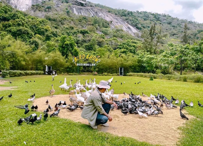 Khám phá Đảo Hoa Lan Nha Trang: Hành trình thư giãn không lối về 11