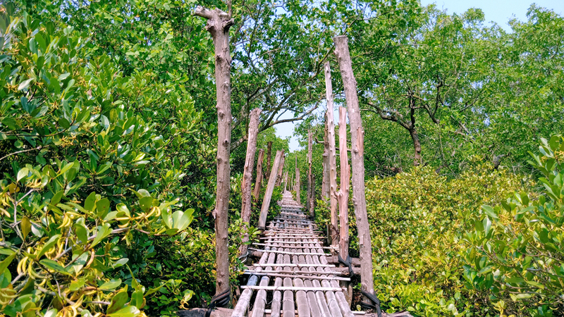 "Khám phá vẻ đẹp lãng mạn của Biển Cồn Đen - điểm đến hấp dẫn tại bãi biển Thái Bình" 2