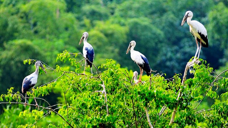 "Khám phá vẻ đẹp lãng mạn của Biển Cồn Đen - điểm đến hấp dẫn tại bãi biển Thái Bình" 3