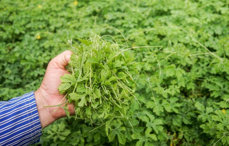 Bỏ túi top 13 món đặc sản Đồng Nai ngon nức tiếng