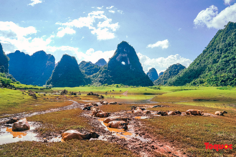 Núi Mắt Thần - Món Quà Địa Chất Độc Đáo Của Cao Bằng