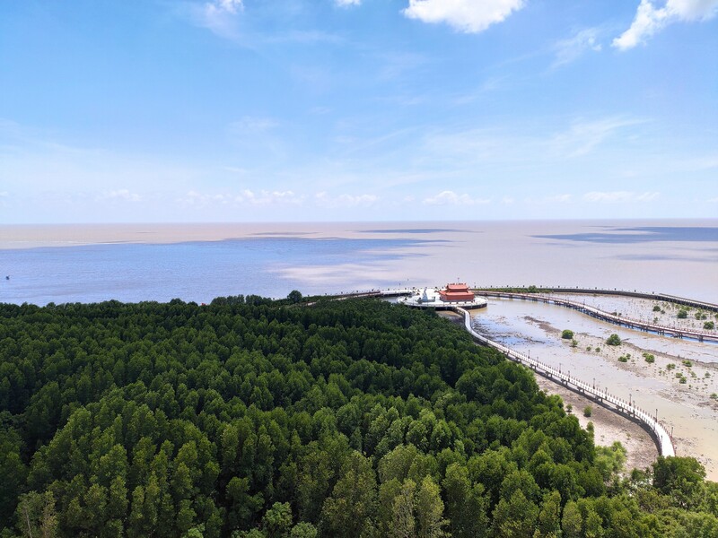 Vườn Quốc Gia Mũi Cà Mau - Lá Phổi Xanh Cực Nam Tổ Quốc