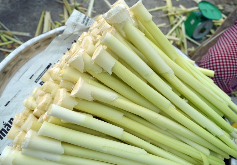 Top 15 đặc sản Bạc Liêu chuẩn miền Tây, được yêu thích nhất