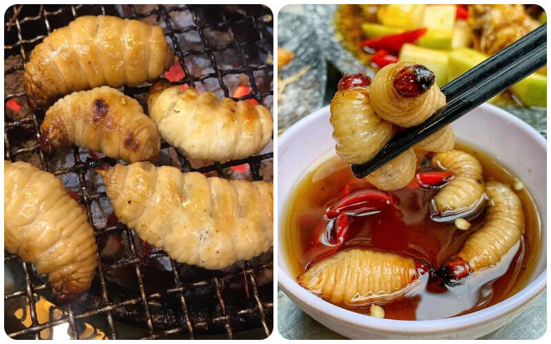 Top 15 đặc sản Bạc Liêu chuẩn miền Tây, được yêu thích nhất