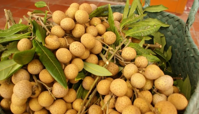 Top 15 đặc sản Bạc Liêu chuẩn miền Tây, được yêu thích nhất