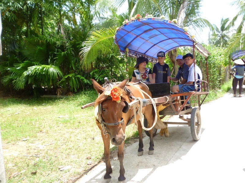 Du lịch Cồn Phụng - Điểm đến thiên nhiên hữu tình tại Bến Tre