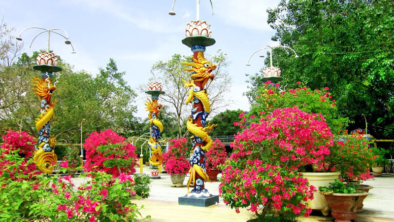 Du lịch Cồn Phụng - Điểm đến thiên nhiên hữu tình tại Bến Tre