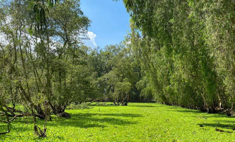 Top 10 địa điểm du lịch Hậu Giang đẹp nhất, check in cực đỉnh