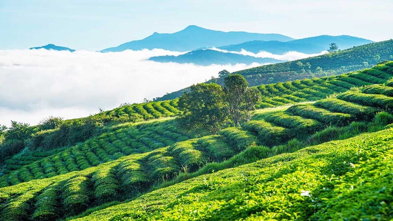 Top 12 địa điểm du lịch Tây Nguyên đẹp mê mẩn, nổi tiếng nhất