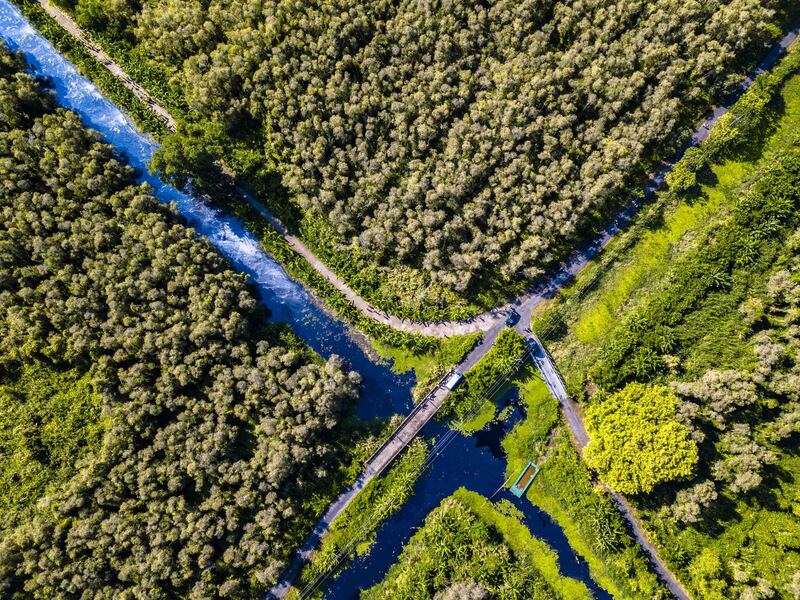 Rừng Tràm U Minh - Trải nghiệm kì diệu tại khu Vườn Quốc gia