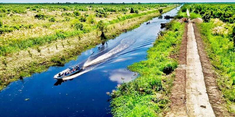 Rừng Tràm U Minh - Trải nghiệm kì diệu tại khu Vườn Quốc gia