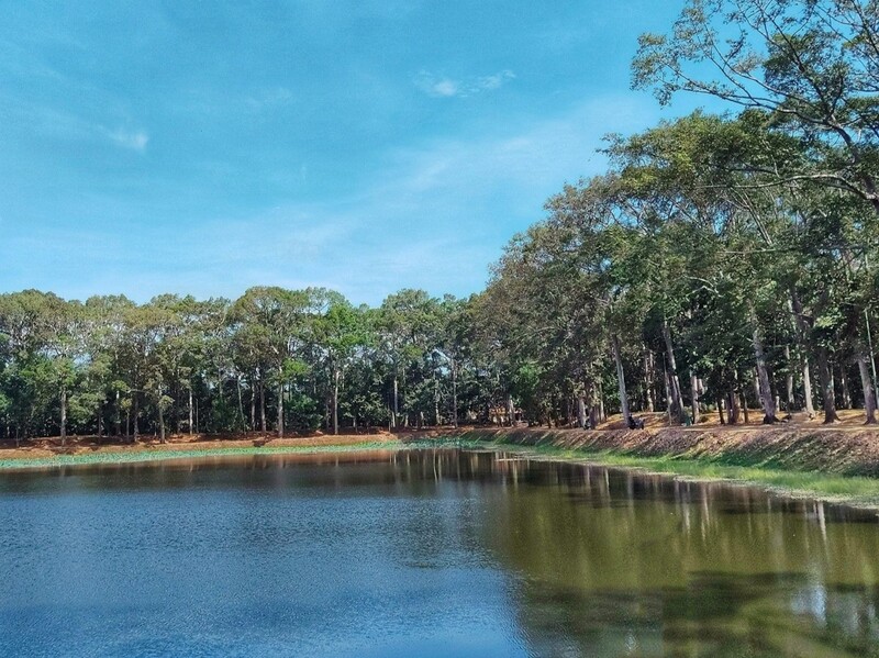 Bật mí về thời tiết Trà Vinh - Tín đồ du lịch không thể bỏ qua