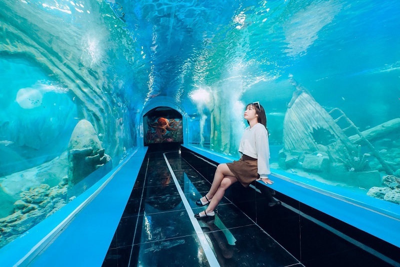 Phố đi bộ Pont De Long Bien - Điểm đến giải trí ngay Hà Nội