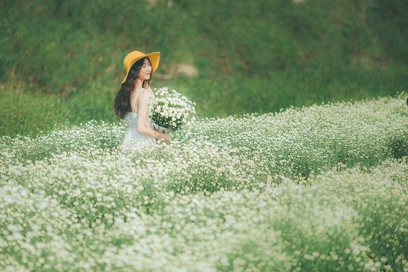Bãi đá Sông Hồng - Chiêm ngưỡng vẻ đẹp yên bình đầy sức hút