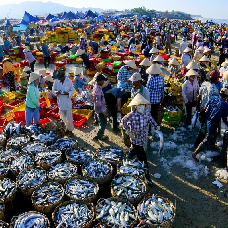 Chợ Bến Đình Vũng Tàu - Nơi thưởng thức hải sản tươi ngon 