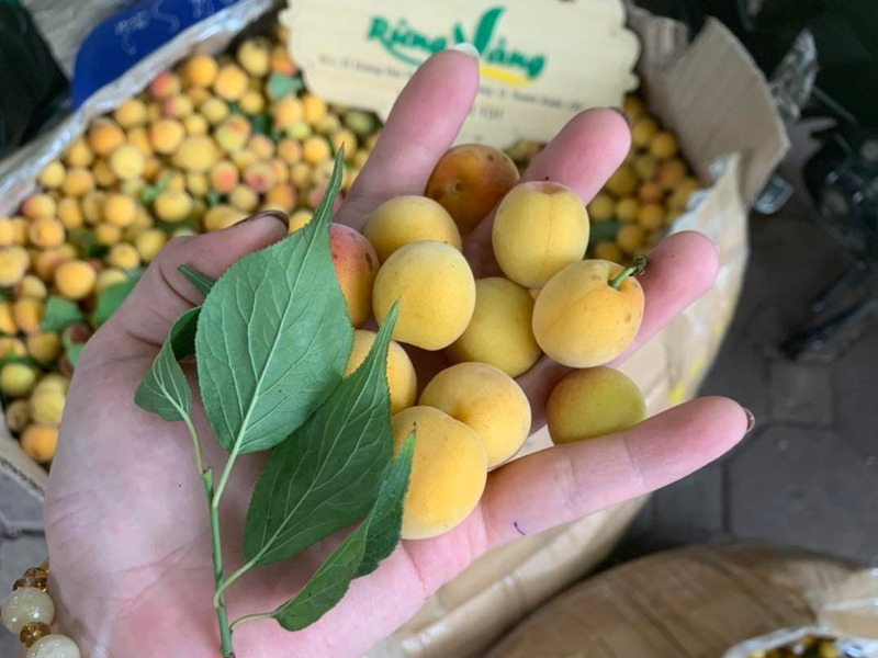 Chùa Hương, tìm về nơi linh thiêng giữa vùng đất lành