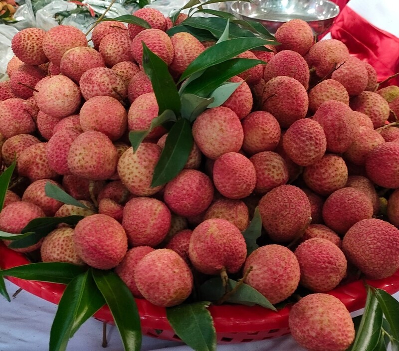 Top 15 đặc sản Hưng Yên du khách không thể bỏ qua