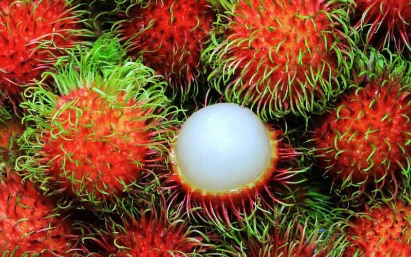 Trái cây đặc sản Sóc Trăng - Nếm thử top 12 loại quả ngon nhất