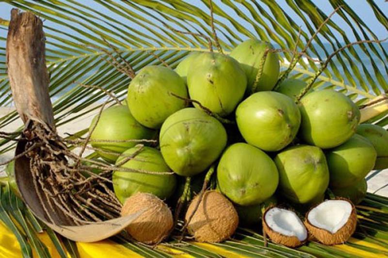 Trái cây đặc sản Sóc Trăng - Nếm thử top 12 loại quả ngon nhất