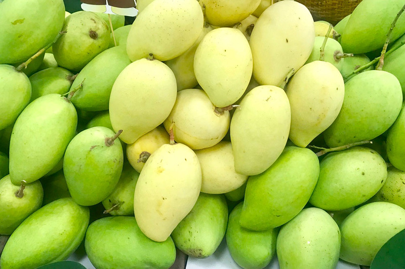 Trái cây đặc sản Sóc Trăng - Nếm thử top 12 loại quả ngon nhất