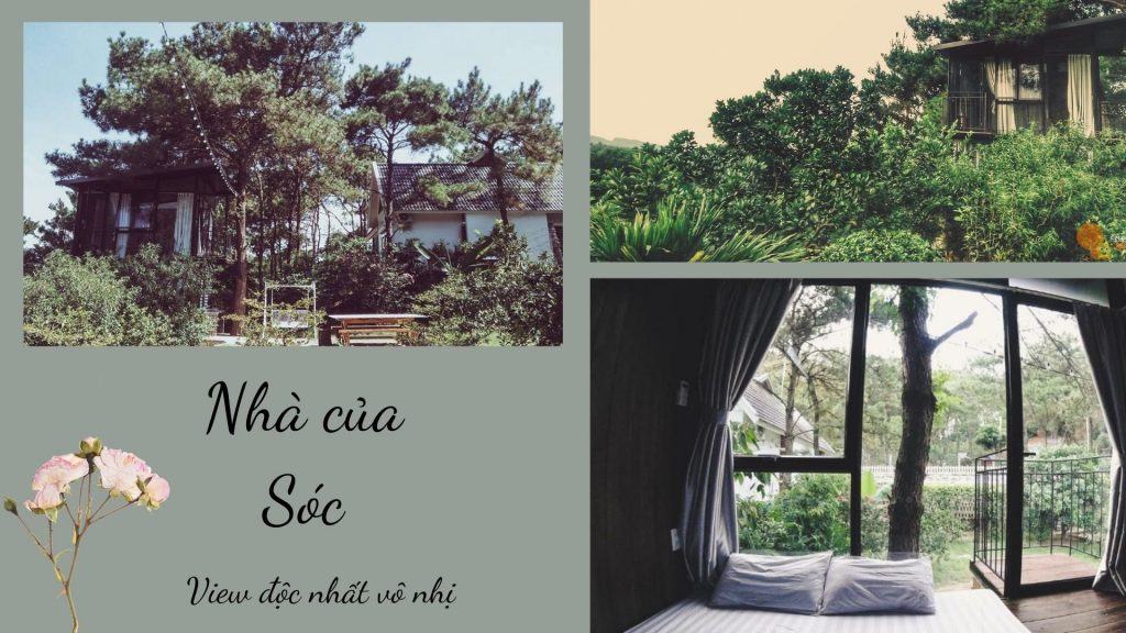 Top 15 resort Sóc Sơn giá rẻ có hồ bơi view đồi thông tuyệt đẹp