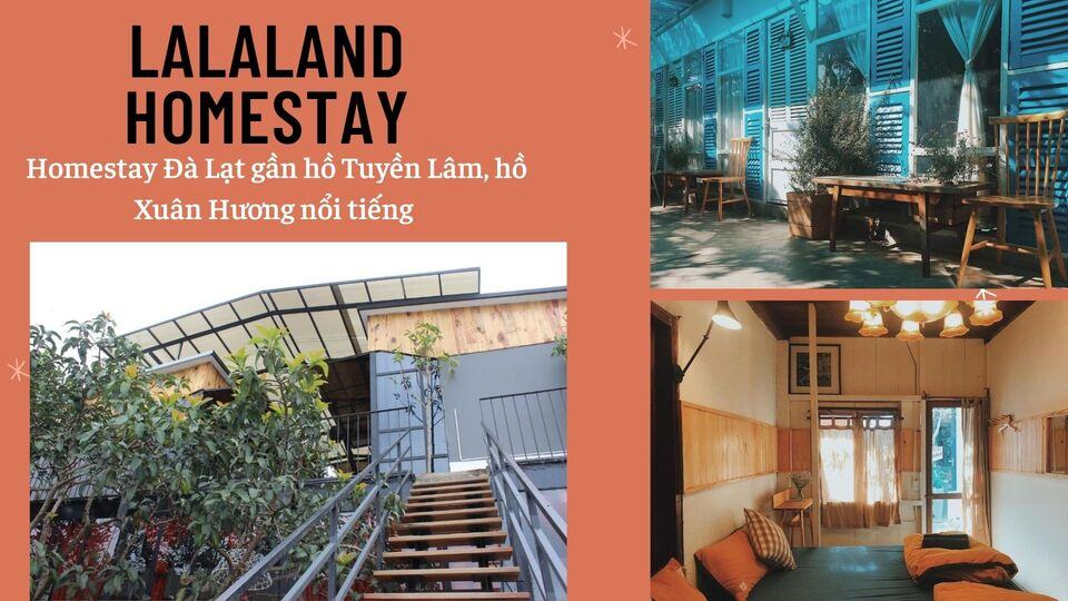 Review 40 căn homestay Đà Lạt giá rẻ đẹp thu hút khách du lịch