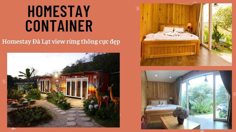 Review 40 căn homestay Đà Lạt giá rẻ đẹp thu hút khách du lịch