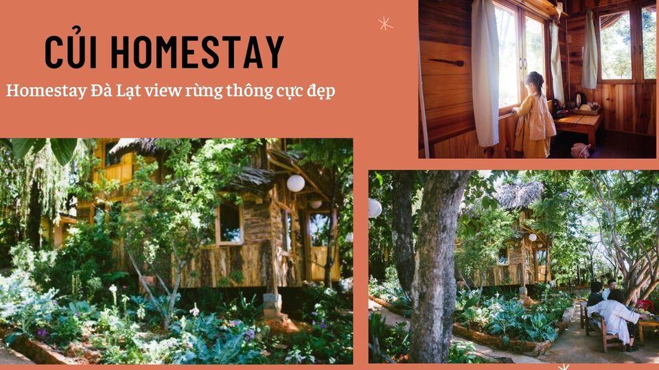 Review 40 căn homestay Đà Lạt giá rẻ đẹp thu hút khách du lịch