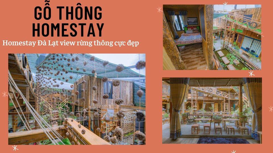 Review 40 căn homestay Đà Lạt giá rẻ đẹp thu hút khách du lịch