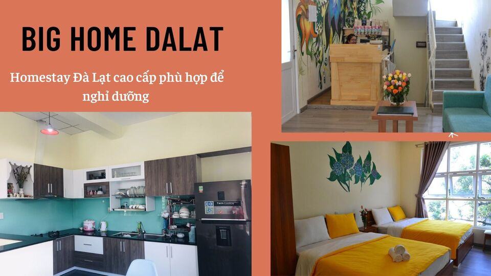 Review 40 căn homestay Đà Lạt giá rẻ đẹp thu hút khách du lịch