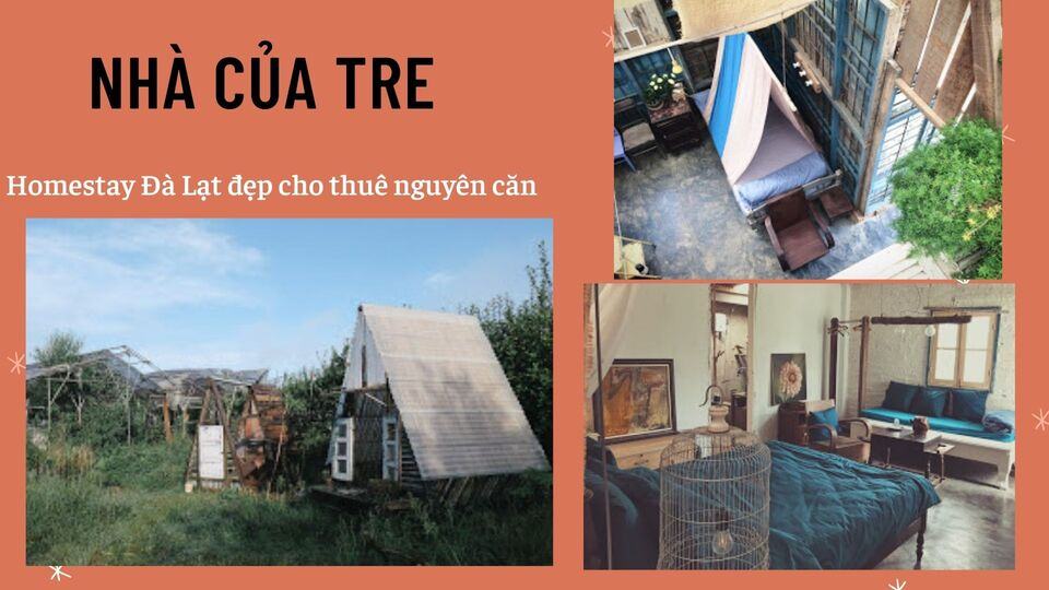 Review 40 căn homestay Đà Lạt giá rẻ đẹp thu hút khách du lịch