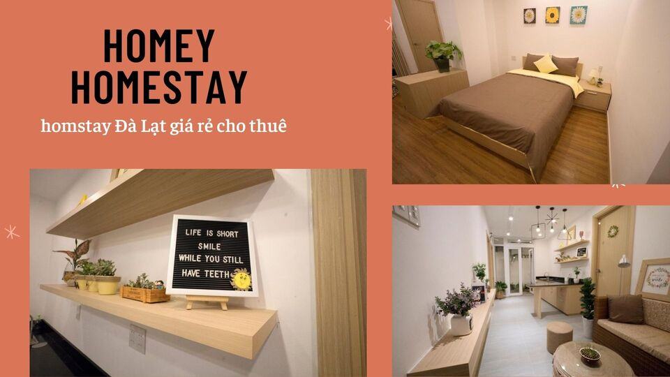 Review 40 căn homestay Đà Lạt giá rẻ đẹp thu hút khách du lịch