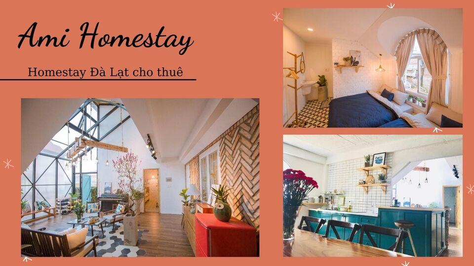 Review 40 căn homestay Đà Lạt giá rẻ đẹp thu hút khách du lịch