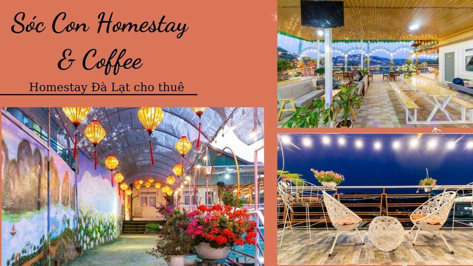 Review 40 căn homestay Đà Lạt giá rẻ đẹp thu hút khách du lịch