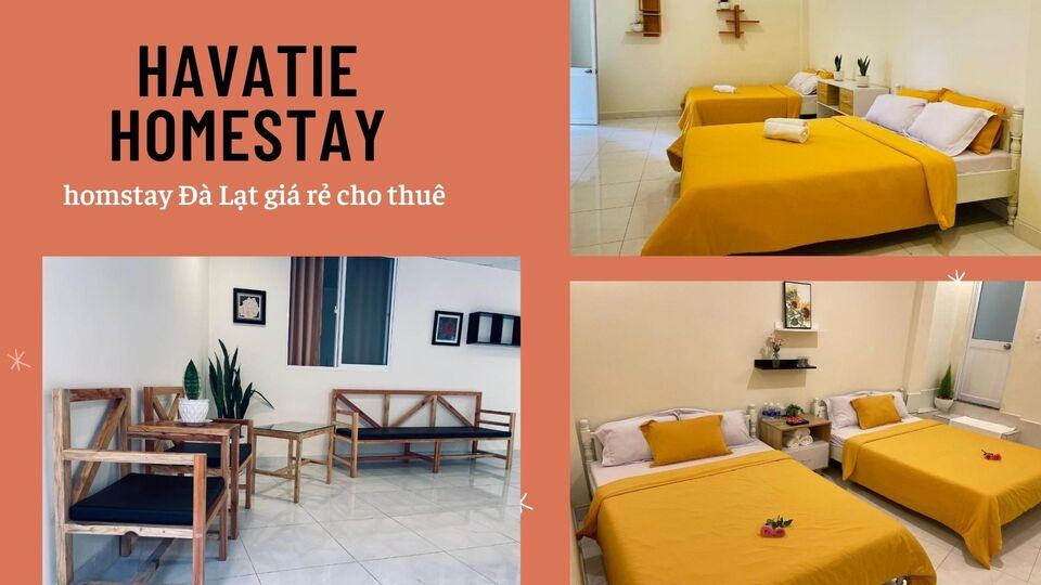 Review 40 căn homestay Đà Lạt giá rẻ đẹp thu hút khách du lịch