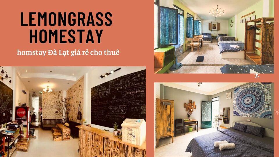 Review 40 căn homestay Đà Lạt giá rẻ đẹp thu hút khách du lịch