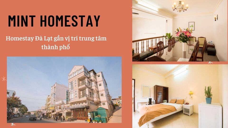 Review 40 căn homestay Đà Lạt giá rẻ đẹp thu hút khách du lịch