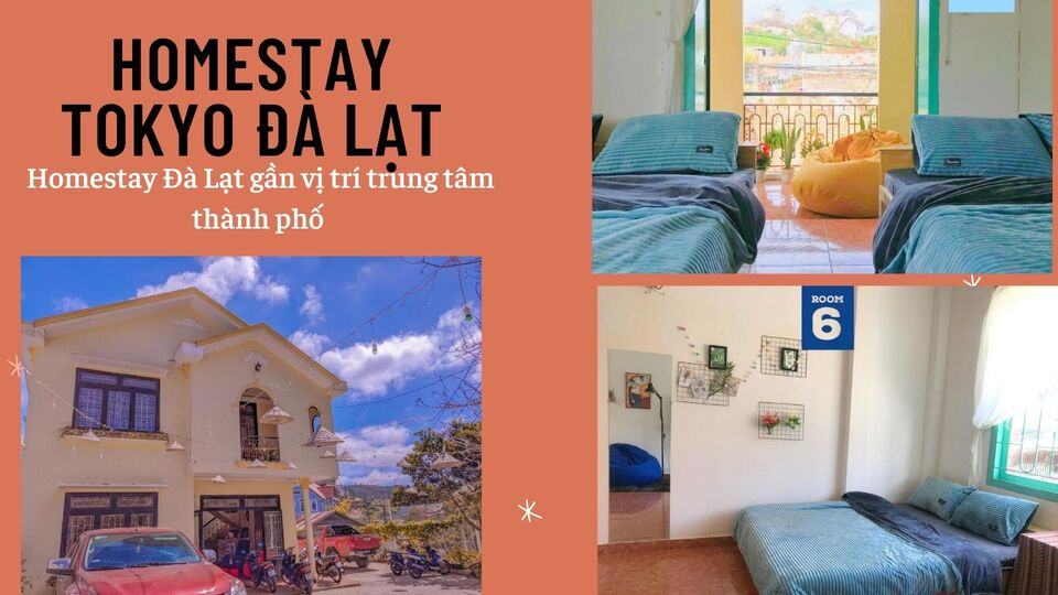 Review 40 căn homestay Đà Lạt giá rẻ đẹp thu hút khách du lịch